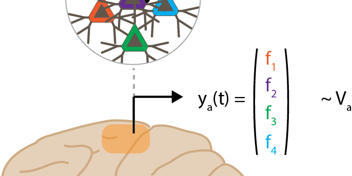 Brain and neural states diagram - a