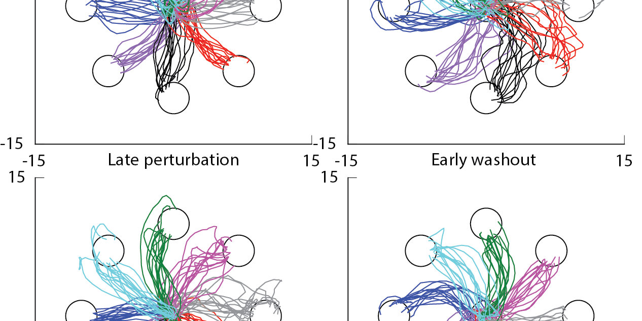 Cursor trajectory with counterclockwise visuomotor rotation